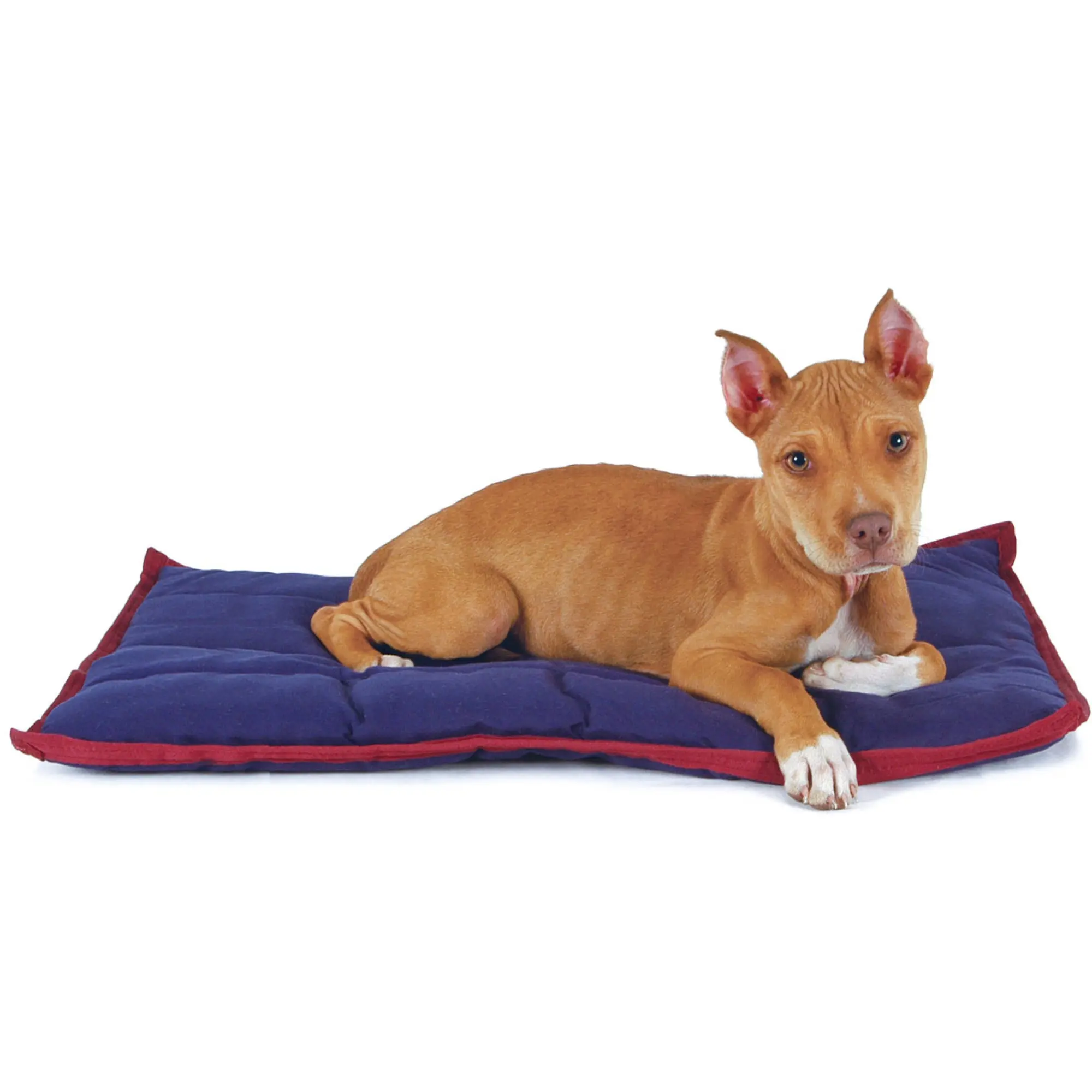 Jeffers Plush Washable Dog Crate Pillow Bed - Machine Wash, Easy to Move Soft Cushion for Travel, Carriers, Encourages Restful Sleep, Traveling