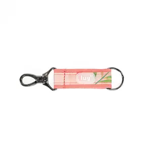 Link Key Chain Link Key Chain