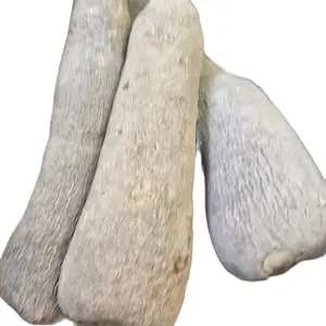 Ghana puna yam,it's a staple foods from Ghana. Taste somehow sweet like sweet potato