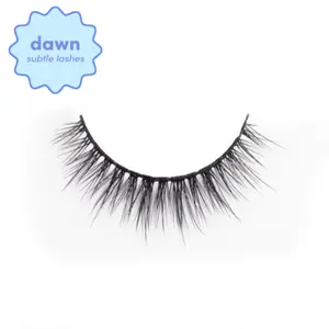 Fairy Dust Fairy Dust