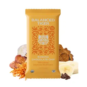 Organic Functional Mushroom Protein Bars | Full Dose (1500mg) Lions Mane, Chaga, Reishi & Cordyceps Bars | Vegan | Banana Chocolate Flavor