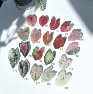 Plant Phone Stand | Leaf Phone Holder | Leaves Phone Accessories | Philodendron Phone Stands | House Plant Phone Ring