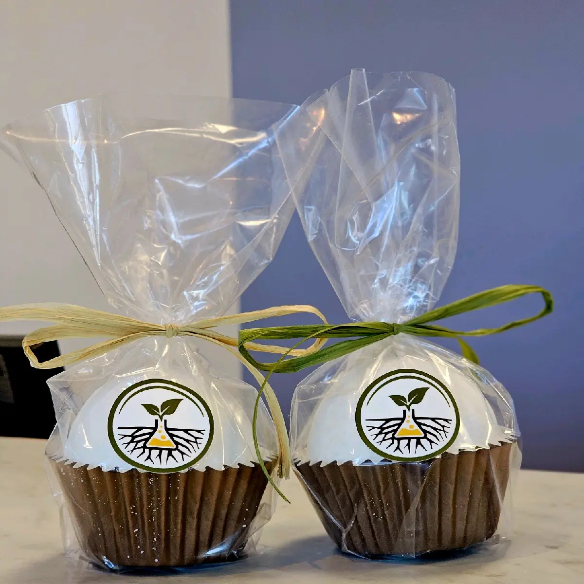 Infused Bath Bombs for Pain Relief and Stress Reduction Body Care Comfort