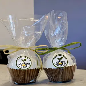 Infused Bath Bombs for Pain Relief and Stress Reduction Body Care Comfort