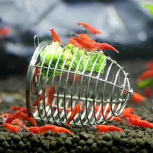 Shrimp Feeding Dish Stainless Steel Shrimp Bowls Feed Dish Metal Container Bait Cage Fish Tank Accessories for Shrimp Food