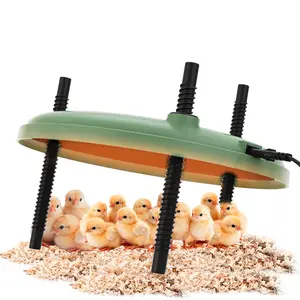 brooder plate for chicken, baby chicks warmer, poultry heating plate with adjustable height angle, temperature control