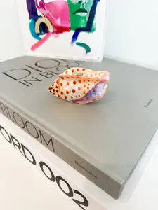 Conch Shell Claw Clip