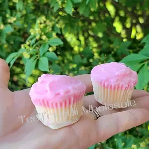 Mini Cupcake Wax Melt Box Mini Cupcake Wax Melt Box