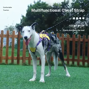 Escape-Proof Dog Harness Vest Set, Walking Harness, No-Pull Reflective Harness & Leash for Large Breeds, Heavy Duty Outdoor Training Gear for German Shepherd Golden Retriever