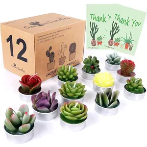 12Pcs Cactus Candles Succulent Ornaments Candles, Wedding Favors for Guests, Bridal Shower Favors, Baby Shower Favors, Christmas Gifts