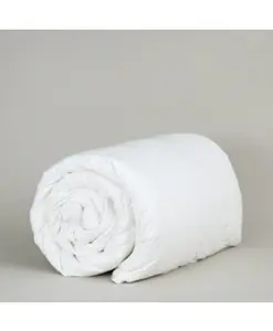 Down Etc. Summer Weight Down Comforter