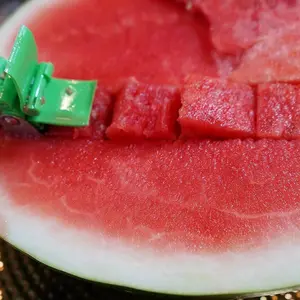 Watermelon Slicer