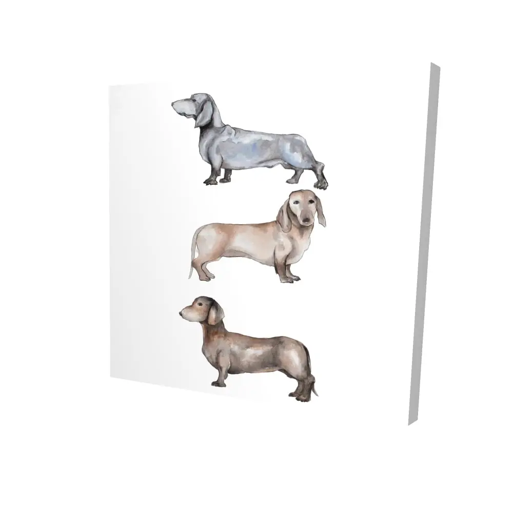 Begin Home Decor 2080-2424-AN409 24 x 24 in. Small Dachshund Dog Canvas - Brown Pets Animals Home Decor