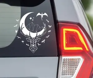 The Thirteen | Acotar | Terrasen | Wyvern | Decal | Throne of glass | ACOTAR | throne of glass sticker | Dragon | fourth wing | maasverse
