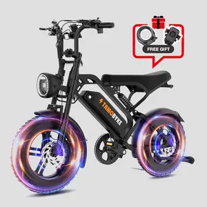 T16 E-Bike for Teens & Childs, 1000W Motor 48V15.6Ah Removable Battery, 30MPH Off-Road Electric Bicycle,16"Fat Tire Ebike for Kids, 7-Speed,Dual Hydraulic Brakes, Fits Riders 4'5"-5'4"