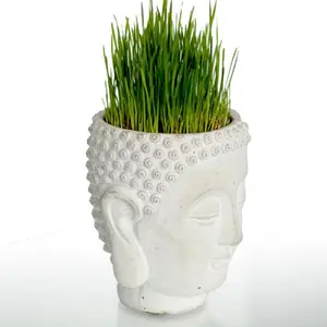 Buddha Head Planter