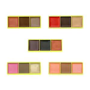 Mini Curve Case - 3 Pan - Blursh , Bronze , Glow - Includes Free Brush