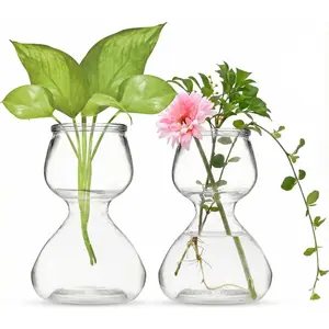 Propagation Stations - Clear Glass Bud Vases Set of 2 - Mini Vases for Wedding Centerpieces, Cafe Decor,  Shop Displays - Small Hydroponic  Flower Vase