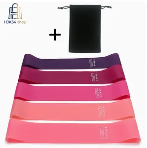 5PCS Resistance Bands Set with Carry Bag & User Manual, 5-40LB Mini Loop Exercise Bands for Home Gym, Yoga, Pilates, Legs & Glutes Workout, Non-Slip Fitness Booty Bands