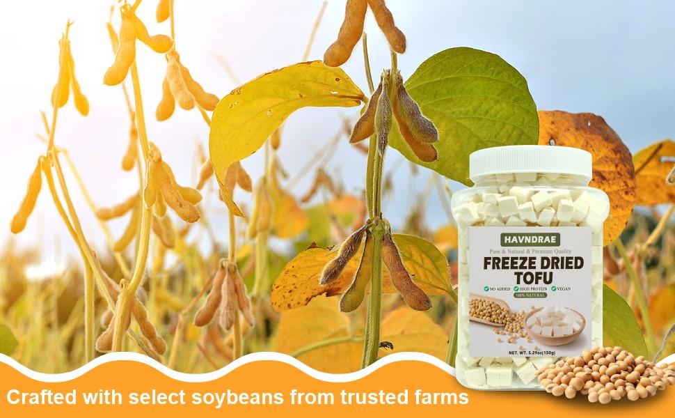 5.29oz Freeze Dried Tofu Cubes – 1cm Bite-Sized High Protein Dehydrated Tofu – Instant Vegan Food for Ramen Toppings, Miso Soup, Hiking & Emergency Keto Meals