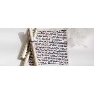 Kosher Scroll