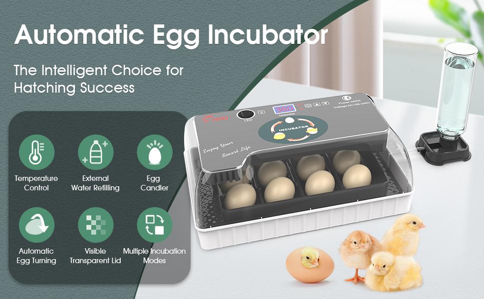 Egg Incubator for Hatching Chicks, Automatic Egg Turner Holds 12 Eggs