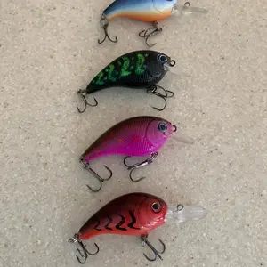 BASS Fishing Crankbaits BASS Fishing Crankbaits