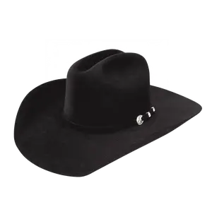 Stetson Men's Corral 4X Buffalo Black Felt Cowboy Hat SBCRAL-754007