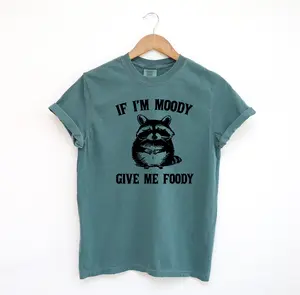 If I'm Moody Give Me Foody Funny Shirt, Funny Raccoon Comfort Colors Shirt