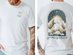 Stormlight Archive Shirt, The Way of Kings Shirt, Brandon Sanderson Shirt, Airsick Lowlander Tee, Gift For Fans, Kaladin Stormblessed Shirt