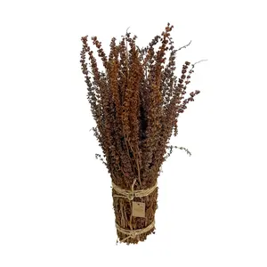 Natural Palang Grass