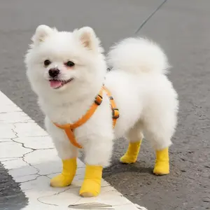 10pcs Disposable Pet Shoe Covers for Small Dogs, Non-Slip Design Keeps Paws Clean and Dry, Perfect for Outdoor Dog Walking Gifts