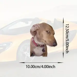 Side Eye Dog Meme Car Sticker for Window Bumper Truck Motorcycle Laptop Vinyl Decal Funny Car Accessories Gift for Pet Lovers and Car Enthusiasts