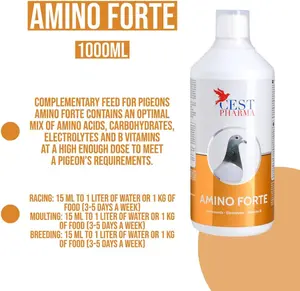 Pharma Cest Amino Forte Bird Healthcare Supplement for Pigeons (1000ml) - Vitamin-Rich Complementary Feed, Mix with Food/Water, Amino Acids, Carbohydrates, Electrolytes, B Vitamins, Supports Immunity & Muscle Growth, Inositol, Potassium Chloride, Sodium A
