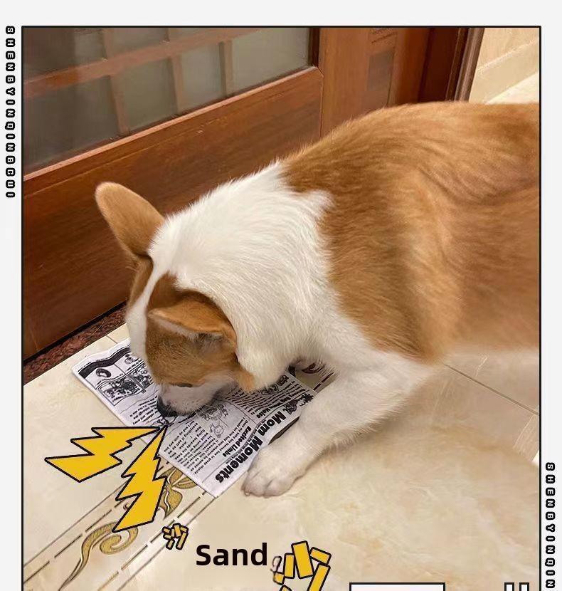 Pet Balloon Indestructible Newspaper Dog Toy Squeaky Chew for Boredom Relief Thickened Durable Teeth Cleaning Realistic Crinkle Safe Non Toxic Washable Quick Dry Interactive Play