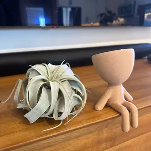 Large Plant Dude with Air Plant (Xerographica), Home Decor, Office Decor, Shelf Styling, Mini Bob Planter