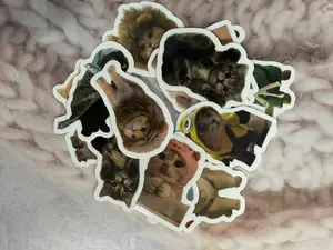 Random Set of 5 Cute Stickers – Adorable Cartoon & Animal Characters