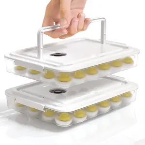 Deviled Egg Containers with Lid, (Set of 2), Plastic Deviled Egg Carrier with Handle for 48 Eggs, Clear Storage Devil Egg Platter, Fridge Portable Egg Tray,  for Picnic and Party