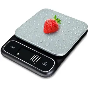 0.1g Food in Grams & Ounces - 11lb, for Cooking, Baking, Weight Loss - Square