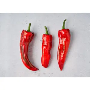 Marconi Red - Organic Sweet Pepper Seeds