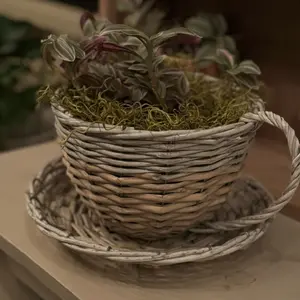 Cottage Teacup Planter - Woven Basket with Handle, Ideal for Plants and Decor, Perfect for Home Decor and Gardening