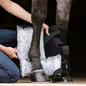 Suspensory/Full Tendon Wrap