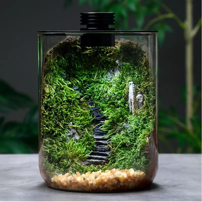 DIY Terrarium Spotlight(USB) Cylindrical Kit with Pumice, Dried Sphagnum Moss, Coconut Coir, Moss, Tools, and Decorative Figurines for Adults and Kids
