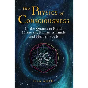 The Physics of Consciousness – Quantum Field, Life, and Human Souls - Paperback