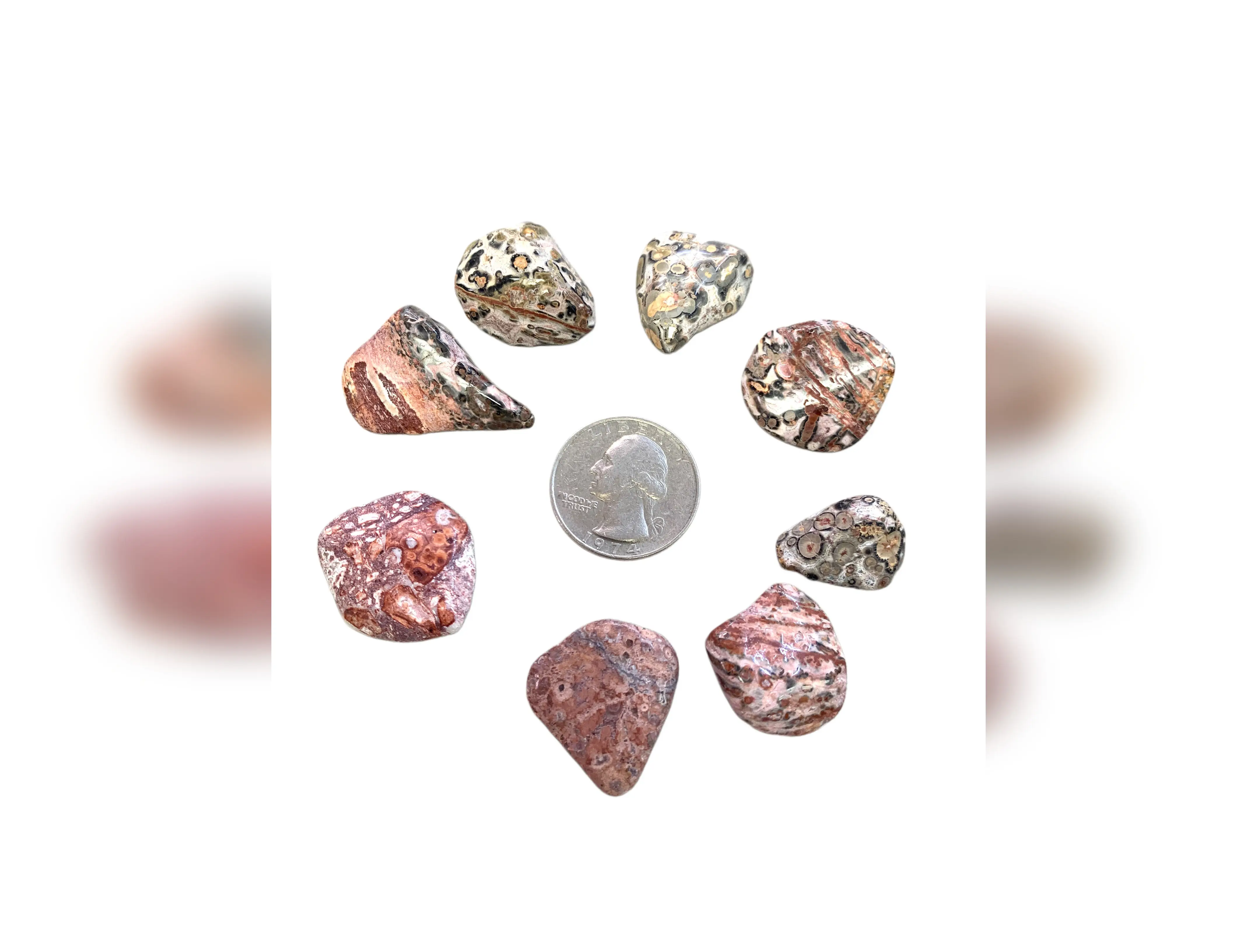 Leopard Skin Rhyolite Jasper Tumbled Stone