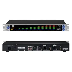 Digital Equalizer for Home Stereo Audio System, Professional 31 Band Dual Channel Graphic Equalizer Music EQ with PC Tuning, Noise Reduction & Spectrum Analyzer Display - 1U Rack Mount, Silver