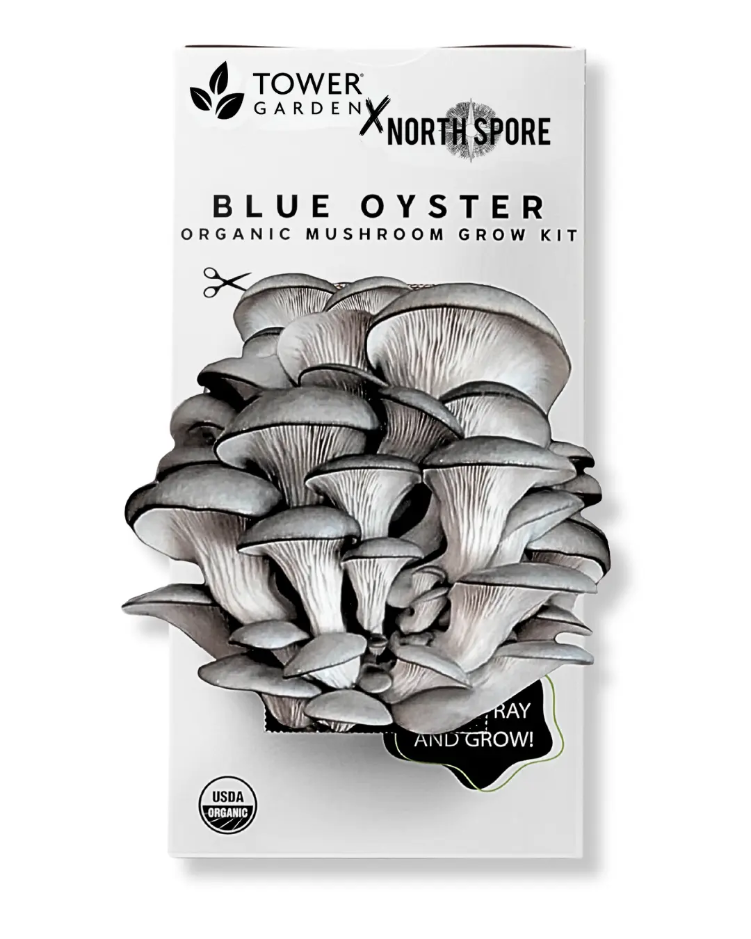 Organic Blue Oyster ‘Spray & Grow’ Mushroom Growing Kit