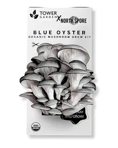 Organic Blue Oyster ‘Spray & Grow’ Mushroom Growing Kit