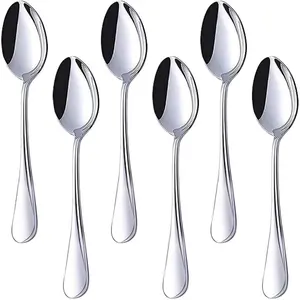 Stainless Steel Teaspoons, 6-piece Dinner Spoons Set, 6.7-inch Dessert Spoons for Home, Kitchen or Restaurant