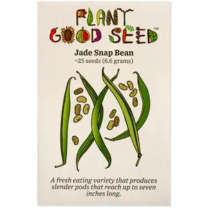 Jade Snap Bean Seeds for Planting: Green Fresh Eating Bush Stringless Tendergreen, Certified Organic - 25 Seed Packet / Bulk Pack